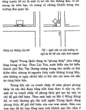 Quan niệm phương đông trong kiến trúc phương tây part 7