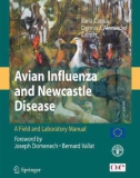 Ebook Avian influenza and newcastle disease - A field and laboratory manual: Part 1