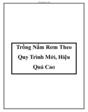 Trồng Nấm Rơm Theo Quy Trình Mới, Hiệu Quả Cao