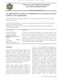 Iron sulfide clusters for annulation of 2-nitrobenzonitriles and benzylamines toward synthesis of 2-aryl-4-quinazolinones