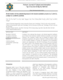 Determination of the potential byproduct in the toluene oxidation process by CuMnO x catalyst on cordierite substrate