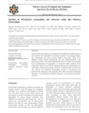 Synthesis of WO3/Ag3VO4 photocatalyst with enhanced visible light efficiency photocatalysis