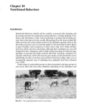 Ebook Cattle behaviour and welfare (2/E): Part 2 - Clive Phillips