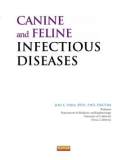 Ebook Canine and feline infectious diseases: Part 3