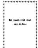 Kỹ thuật chiết cành cây ăn trái