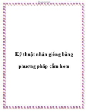 Kỹ thuật nhân giống bằng phương pháp cắm hom