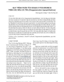 Quy trình phân tích đoạn Cytochrome B trên các mẫu cá tra (Pangasianodon hypophthalmus)