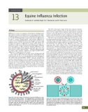 Ebook Equine infectious diseases (2/E): Part 2