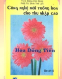 Công nghệ mới trồng hoa cho thu nhập cao hoa đồng tiền