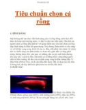 Tiêu chuẩn chọn cá rồng