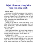 Bệnh tiêm mao trùng bám trên tôm càng xanh