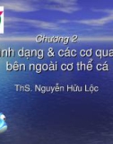 Hìnhdạngvàcáccơquanbên ngoài cơ thể cá