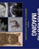 Ebook Feline diagnostic imaging: Part 1