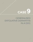 Ebook Complex clinical cases in small animal dermatology: Part 2