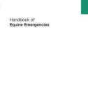 Ebook Handbook of equine emergencies: Part 1