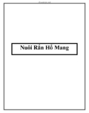 Nuôi Rắn Hổ Mang