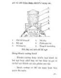 Cây lương thực cách chế biến và bảo quản part 6