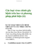 Các loại virus chính gây bệnh trên lan và phương pháp phát hiện (tt)