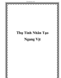 Thụ Tinh Nhân Tạo Ngang Vịt