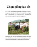 Chọn giống lạc tốt