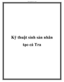 Kỹ thuật sinh sản nhân tạo cá Tra