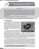 Alkali silica reaction in ultra-high performance concrete containing rice husk ash