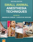 Ebook Small animal anesthesia techniques (2/E): Part 1