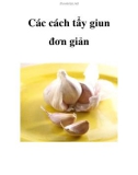 Các cách tẩy giun đơn giản