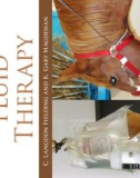 Ebook Equine fluid therapy: Part 1