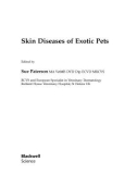 Ebook Skin diseases of exotic pets: Part 1