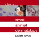 Ebook Notes on small animal dermatology: Part 1