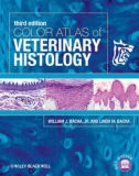 Ebook Color atlas of veterinary histology (3/E): Part 1