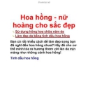 Hoa hồng - nữ hoàng cho sắc đẹp