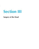 Ebook Advances in equine upper respiratory surgery: Part 2