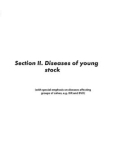 Ebook Farm health and productivity management of dairy young stock: Part 2