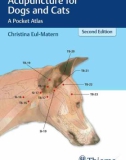 Ebook Acupuncture for dogs and cats - A pocket atlas (2/E): Part 1