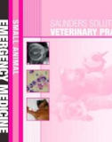 Ebook Saunders solutions in veterinary practice - Small animal emergency medicine: Part 1