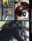 Ebook Handbook of primate behavioral management: Part 1