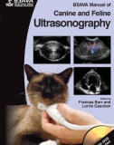 Ebook BSAVA manual of canine and feline ultrasonography: Part 1