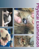 Ebook Performing the small animal physical examination: Part 1