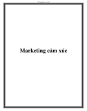 Marketing cảm xúc.Tại sao tiếp thị nhằm vào cảm xúc lại trở thành xu hướng