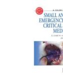 Ebook Small animal emergency and critical care medicine: Part 1