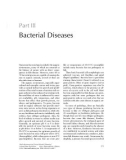 Ebook Health maintenance and principal microbial diseases of cultured fishes (3/E): Part 2