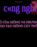 Bài giảng Công nghệ 7 bài 10: Vai trò của giống và phương pháp chọn tạo cây giống