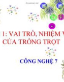 Bài giảng Công nghệ 7 bài 1: Vai trò, nhiệm vụ của trồng trọt