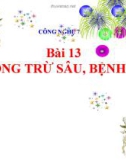 Bài giảng Công nghệ 7 bài 13: Phòng trừ sâu hại