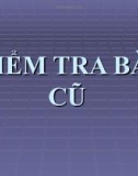 Bài giảng Công nghệ 7 bài 2: Khái niệm về đất trồng và thành phần của đất trồng