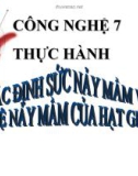 Bài giảng Công nghệ 7 bài 18: Thực hành xác định sức nãy mầm và tỉ lệ nảy mầm của hạt giống