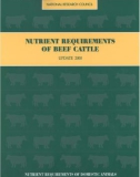 Ebook Nutrient requirements of beef cattle (7/E): Part 1