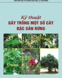 Kỹ thuật trồng cây đặc sản rừng: Phần 1